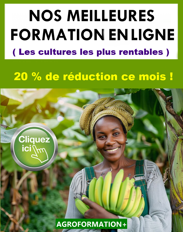 FORMATION EN AGRICULTURE