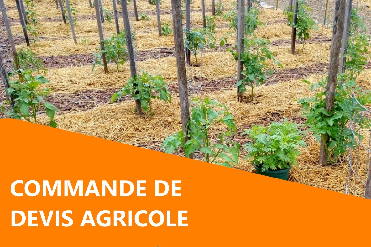 DEVIS AGRICOLE