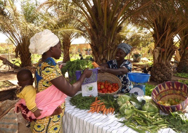 Formation Pesticides et Engrais Bio au Sénégal