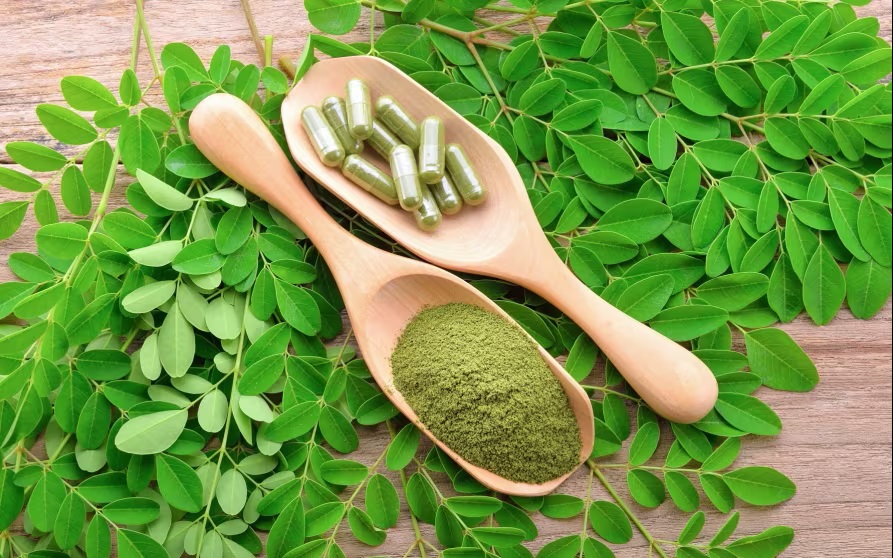 Formation Utilisation du Moringa en Agriculture et Élevage