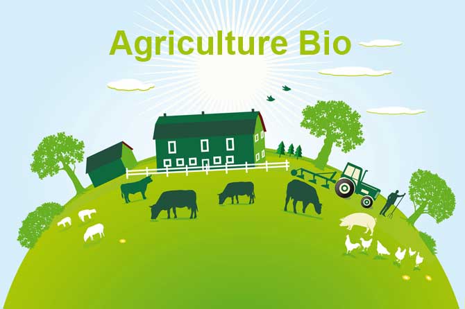 Agriculture Biologique