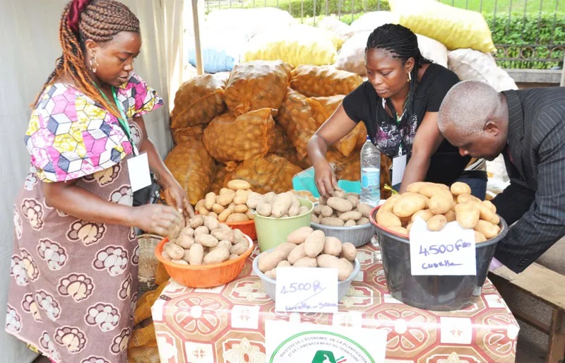 Formation sur les Techniques Efficaces de Commercialisation des Produits Agricoles et d'Élevage