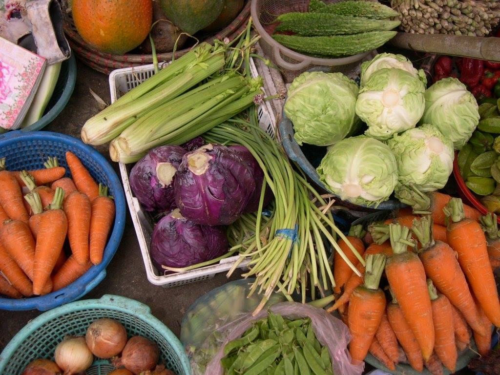 Technique de Conservation des Produits Maraîchers