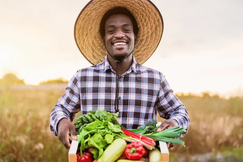 Formation sur la Création et Gestion d'une Entreprise Agropastorale