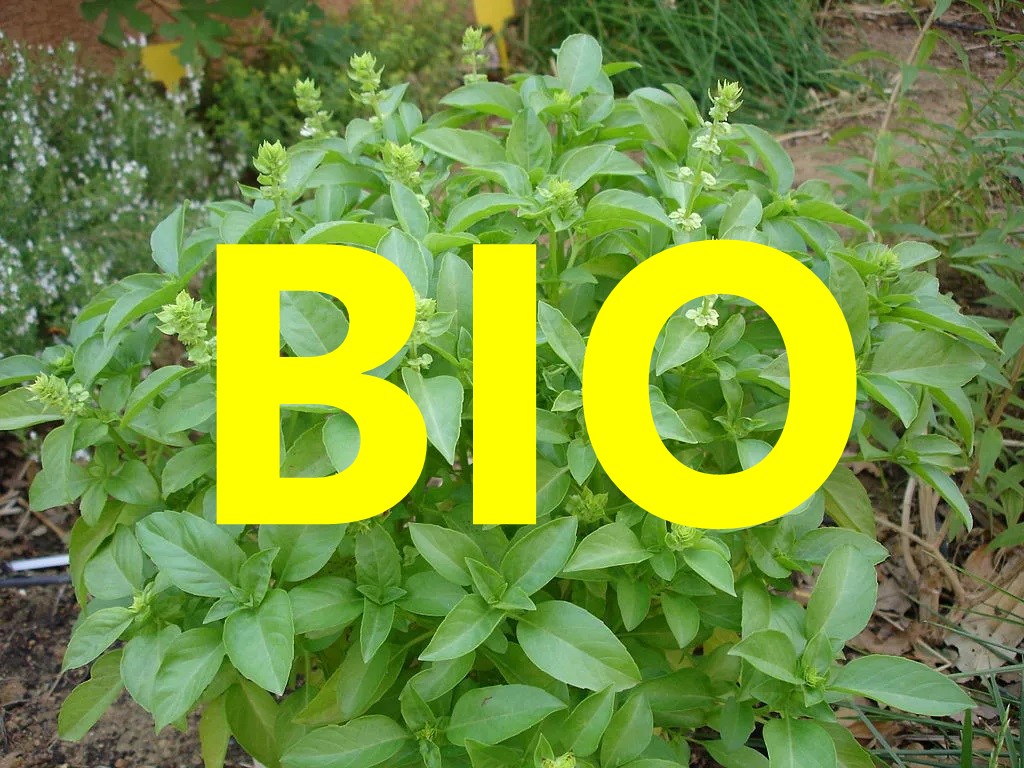 Engrais, Pesticides et Herbicides Bio