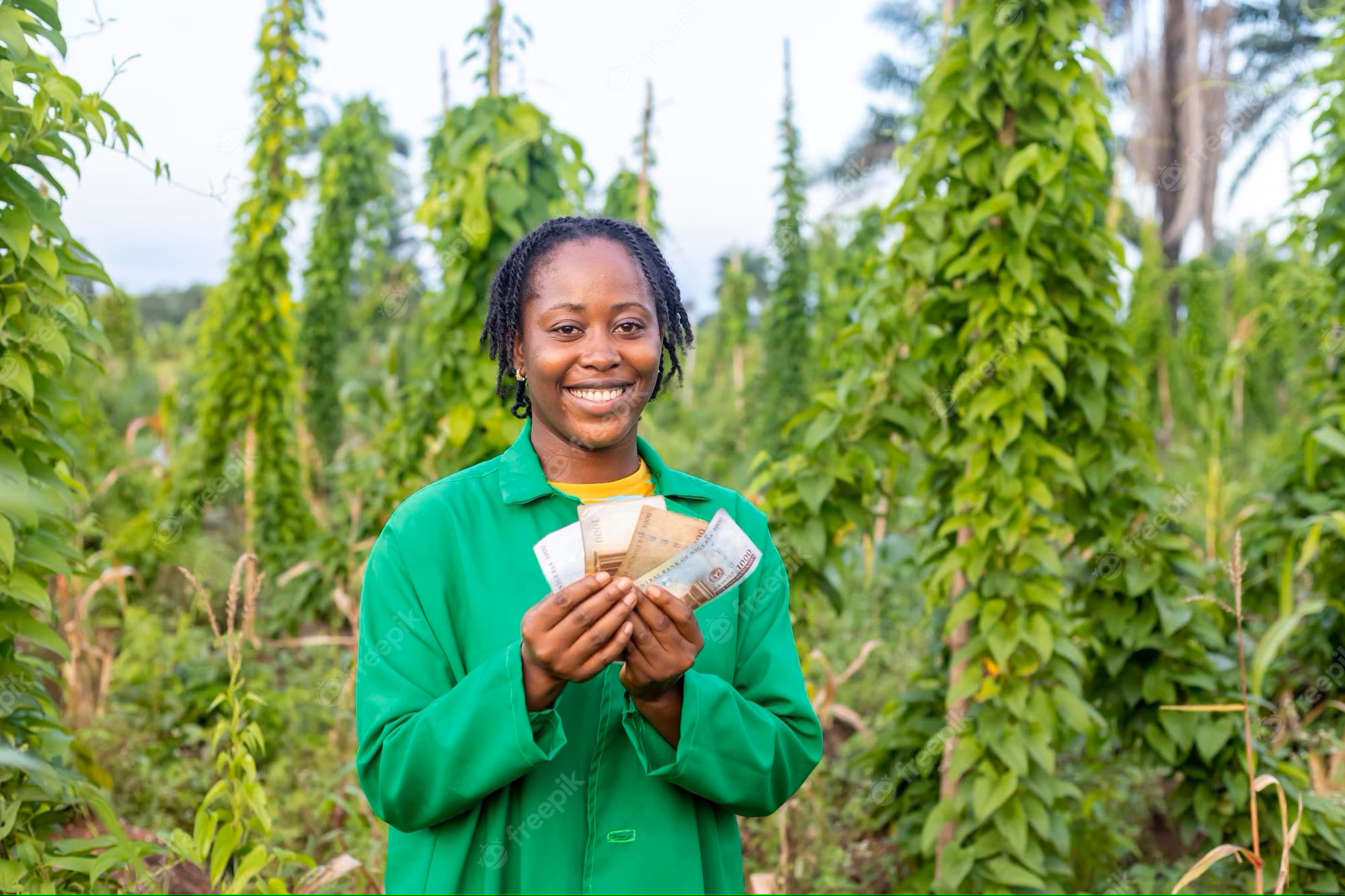 Gestion Financière dans le Secteur Agroalimentaire