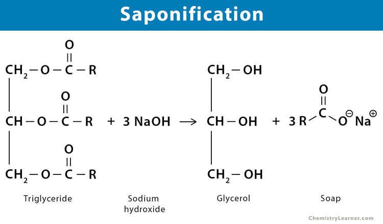 Formation sur le Processus de Calcul de l'Indice de Saponification