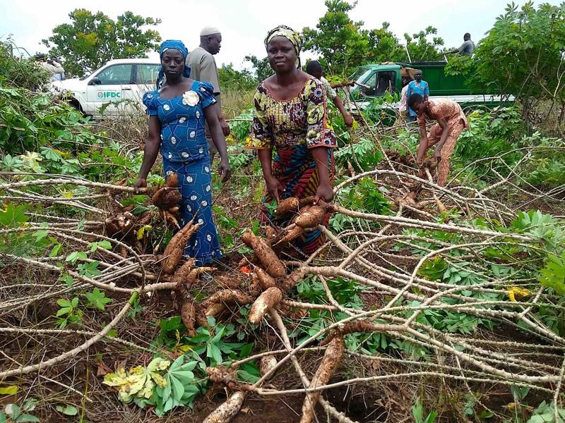 Formation sur la Production et la Transformation du Manioc