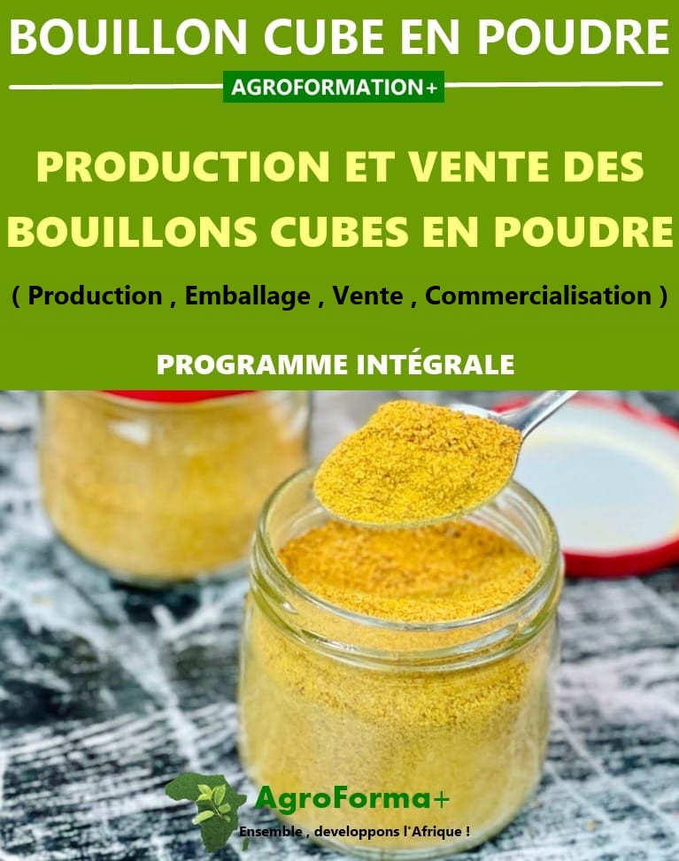 Formation sur la Production des Bouillons Cubes Solides et en Poudre