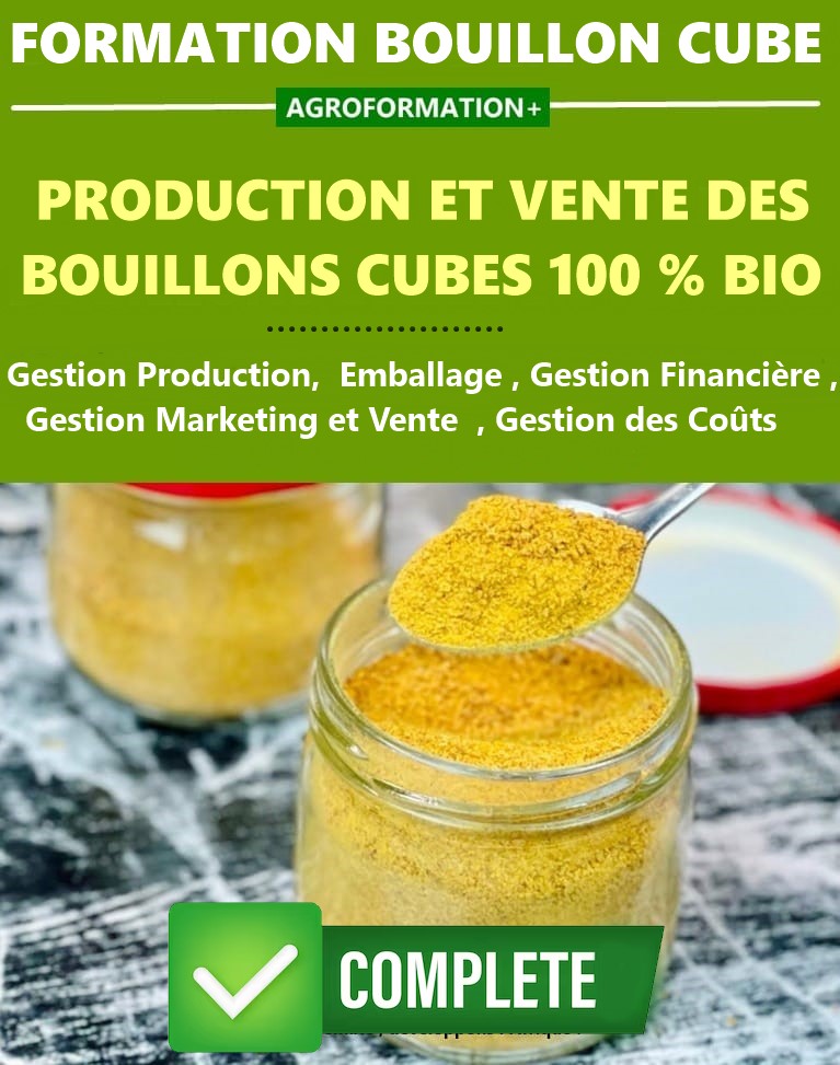 Formation sur la Production des Bouillons Cubes Solides et en Poudre