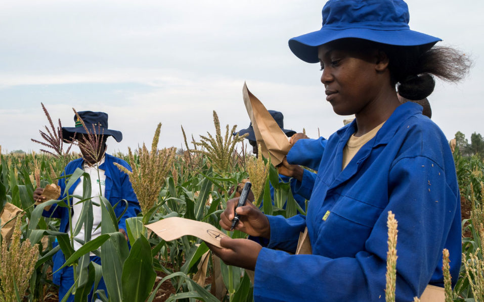 Gestion du Bien-Être au Travail dans le Secteur Agroalimentaire