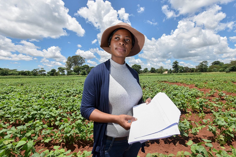 Gestion de la Marque dans l'Industrie Agroalimentaire