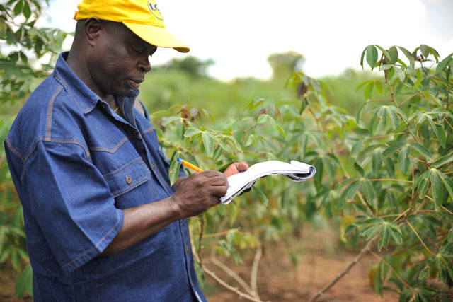 Gestion de la Performance du Personnel dans l'Agroalimentaire