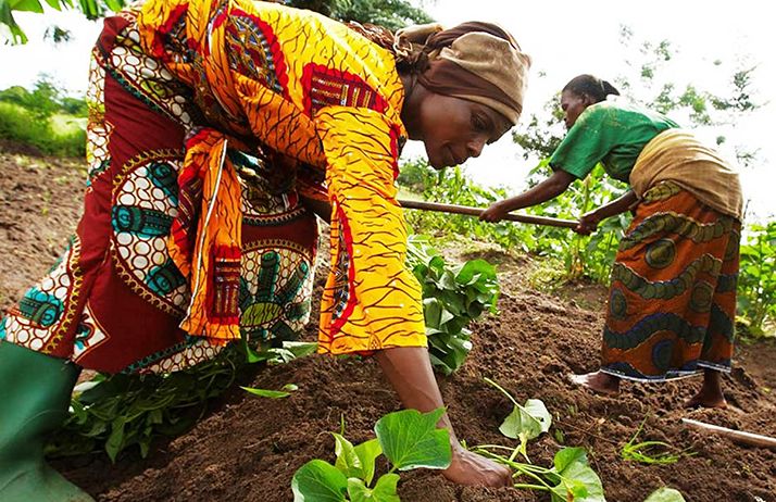 Management des Ressources Humaines Agricoles