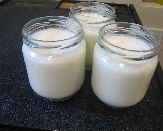 Production de Lait Fermenté