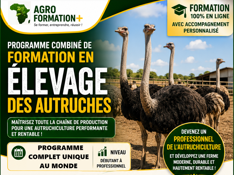 Programme combiné de formation en élevage des autruches
