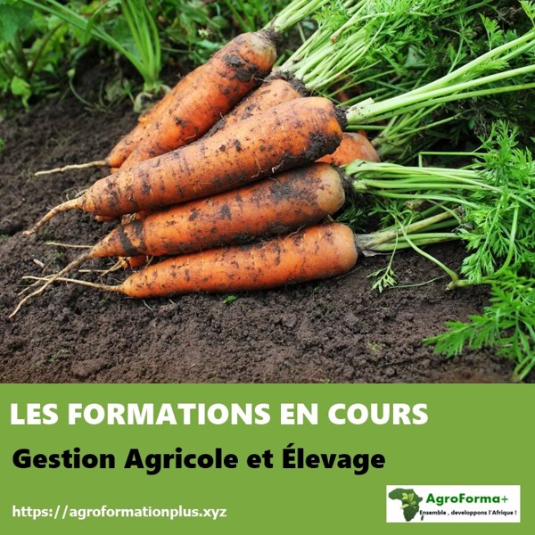 FORMATION EN AGRICULTURE