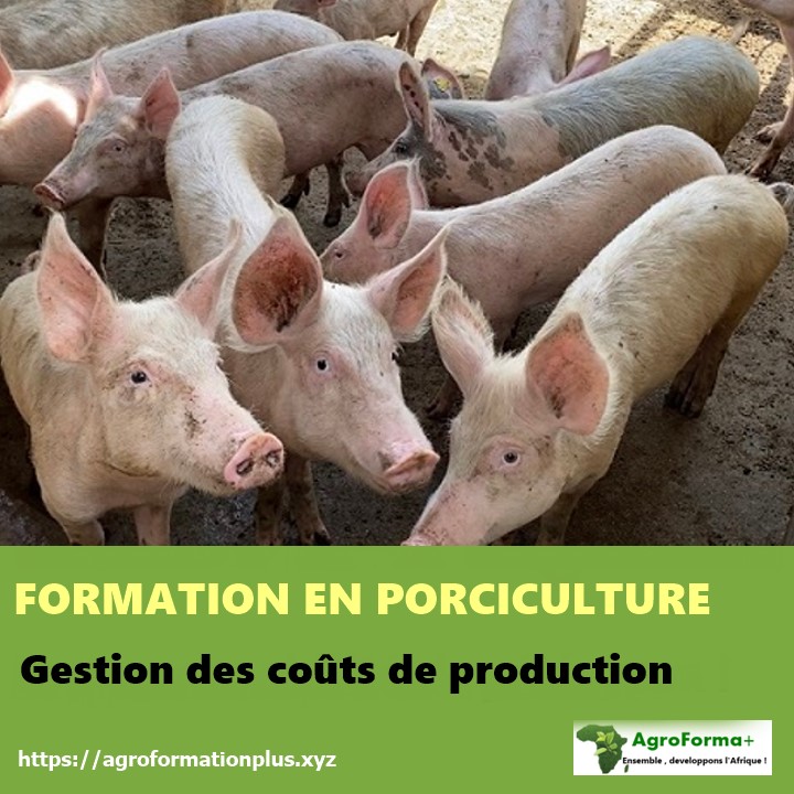 Formation en Gestion des Coûts de Production en Élevage de Porcs