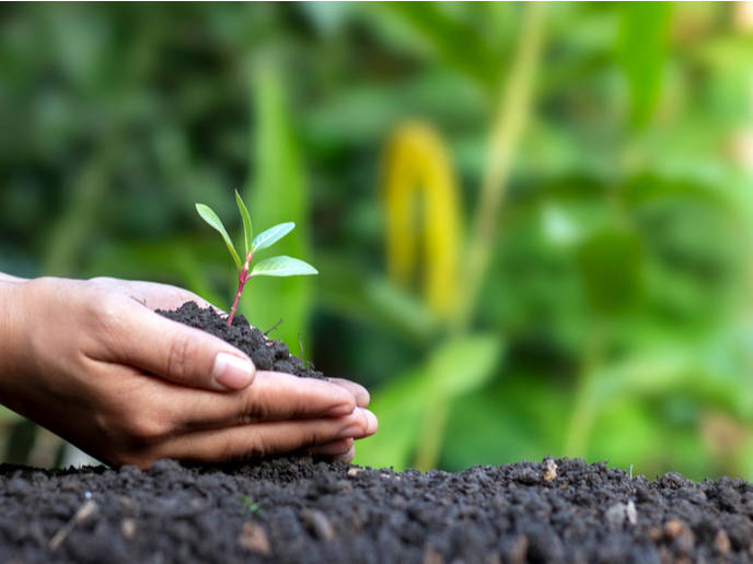 Gestion de la Responsabilité Environnementale en Entreprise Agricole : Écogestion