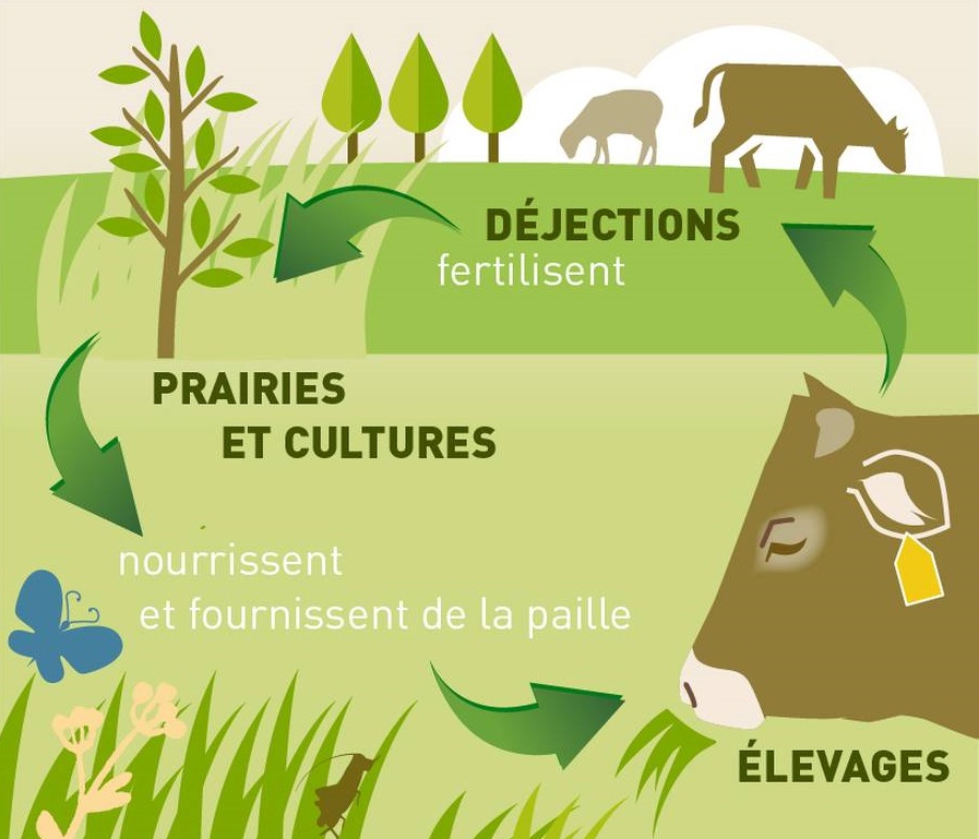 Gestion Intégrée des Cultures et de l'Élevage