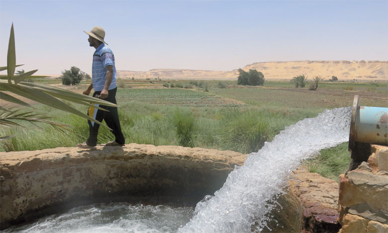 Gestion des Ressources en Eau Agricole