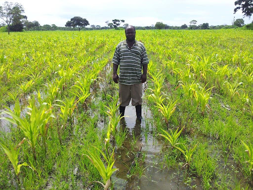 Gestion des Risques en Agriculture