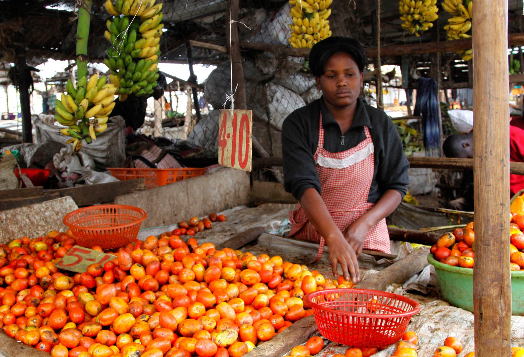 Marketing Agricole et Vente de Produits Agricoles