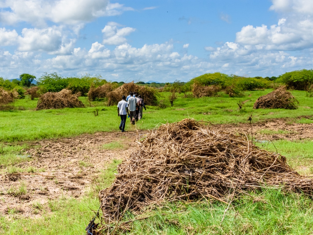 Valorisation des Déchets Agricoles en Compost